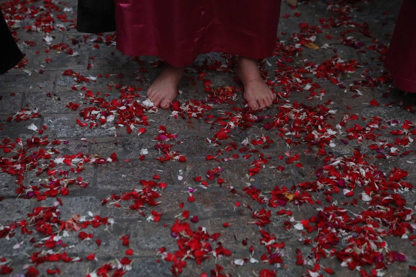 Fotos: Nazareno, el Jueves Santo en Cádiz