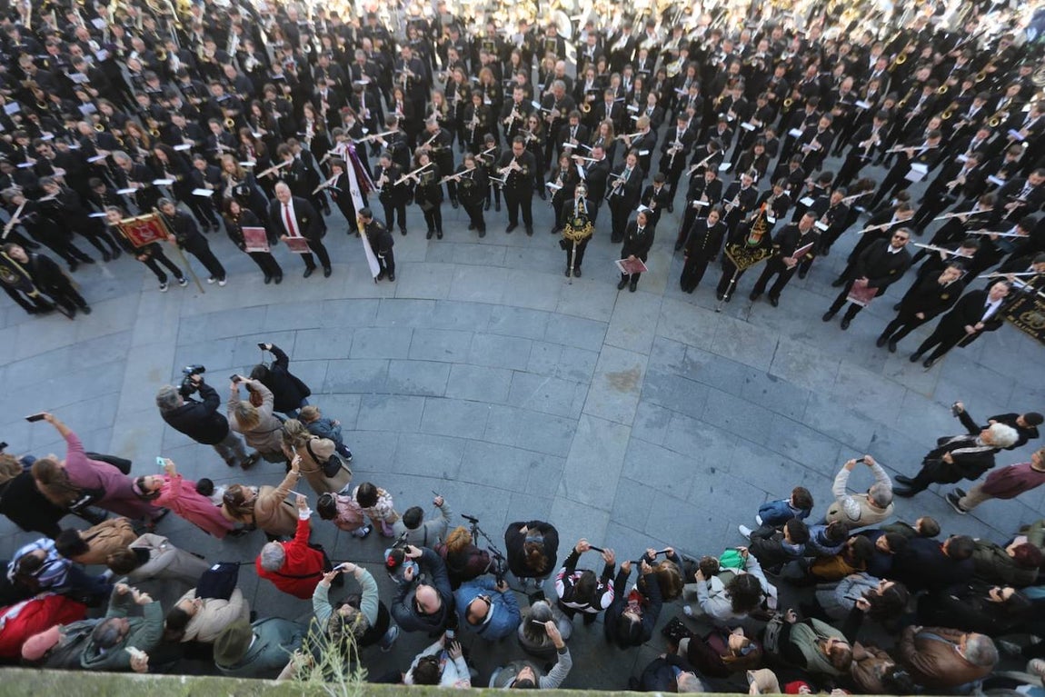 Fotos: pasacalles de bandas en el III Congreso Andaluz de Música de Semana Santa