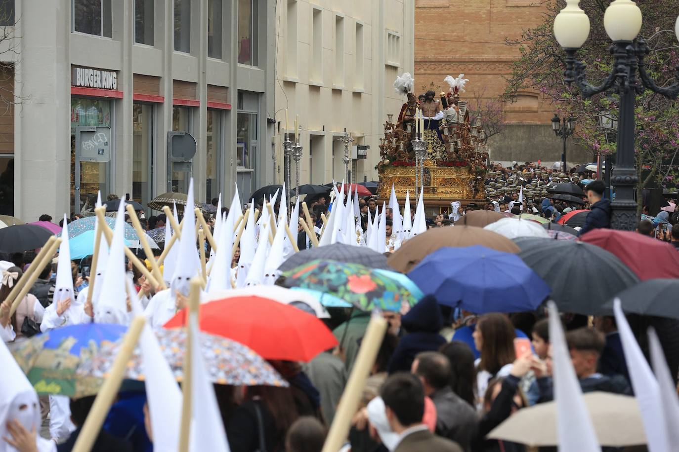 Fotos: El Despojado en el Domingo de Ramos en la Semana Santa de Cádiz 2024