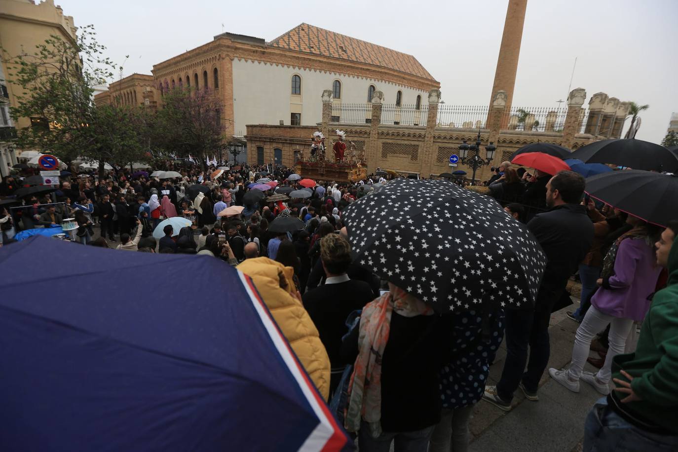 Fotos: El Despojado en el Domingo de Ramos en la Semana Santa de Cádiz 2024