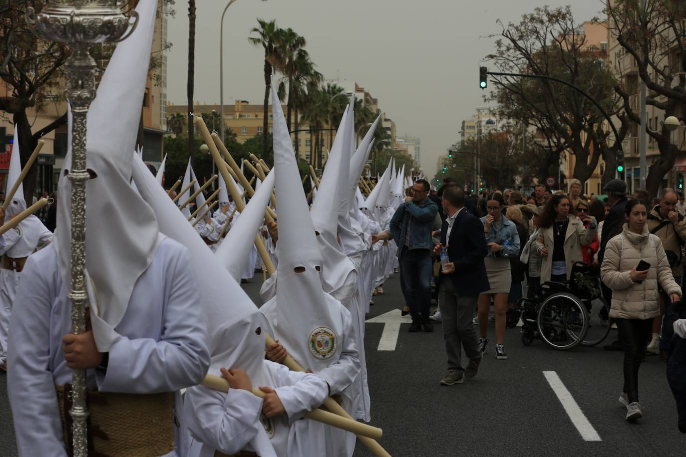 Fotos: El Despojado en el Domingo de Ramos en la Semana Santa de Cádiz 2024