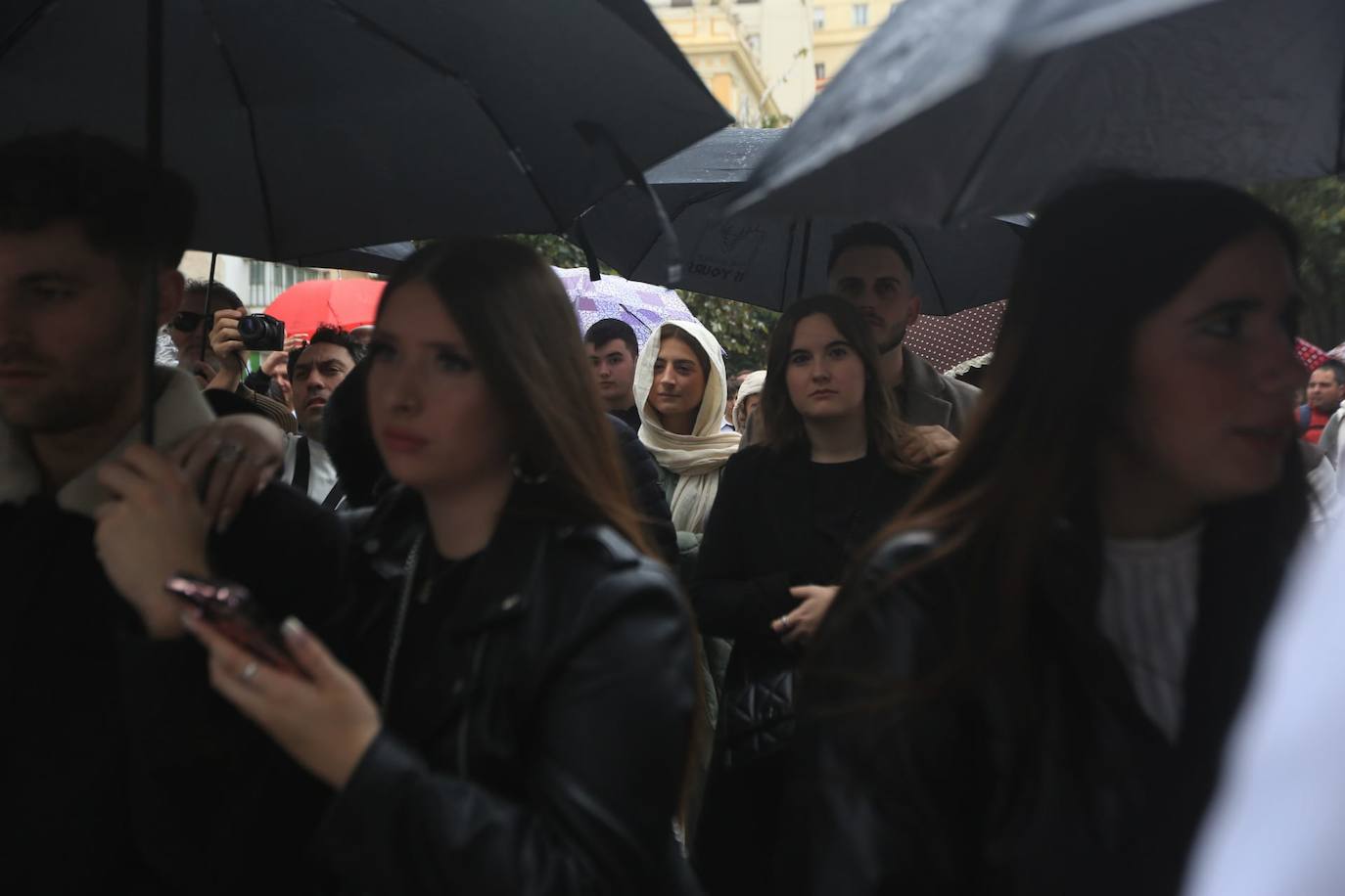 Fotos: El Despojado en el Domingo de Ramos en la Semana Santa de Cádiz 2024