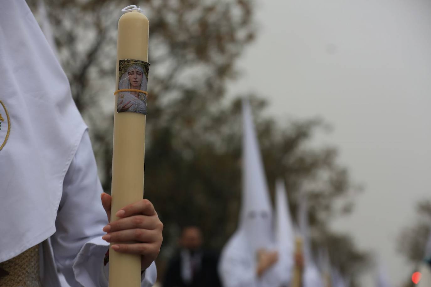 Fotos: El Despojado en el Domingo de Ramos en la Semana Santa de Cádiz 2024