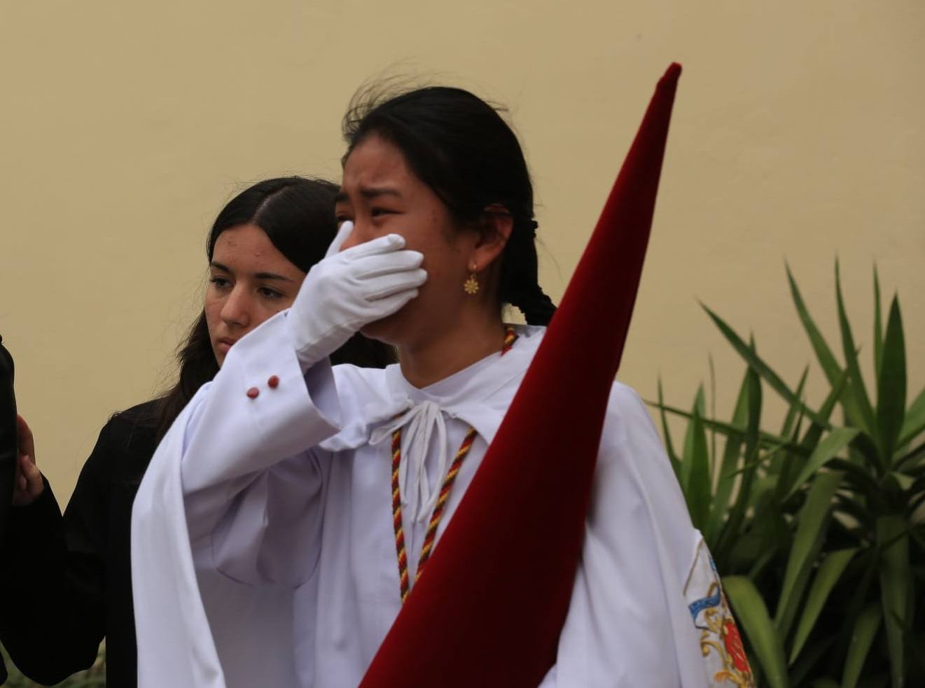 Fotos: La Borriquita el Domingo de Ramos en la Semana Santa de Cádiz 2024