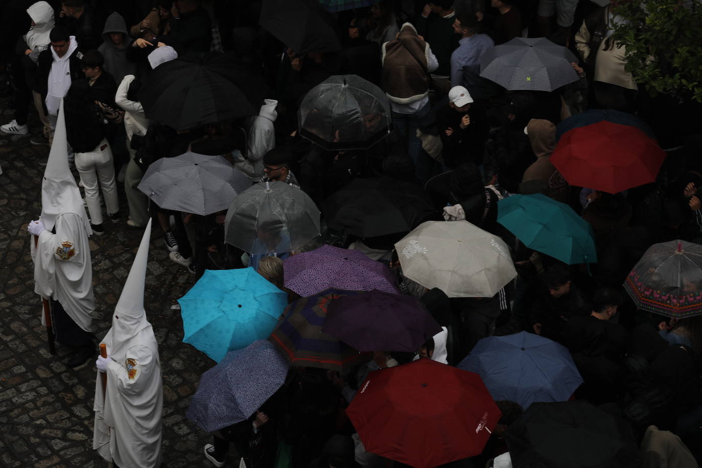 El Nazareno del Amor en el Lunes Santo en la Semana Santa de Cádiz 2024