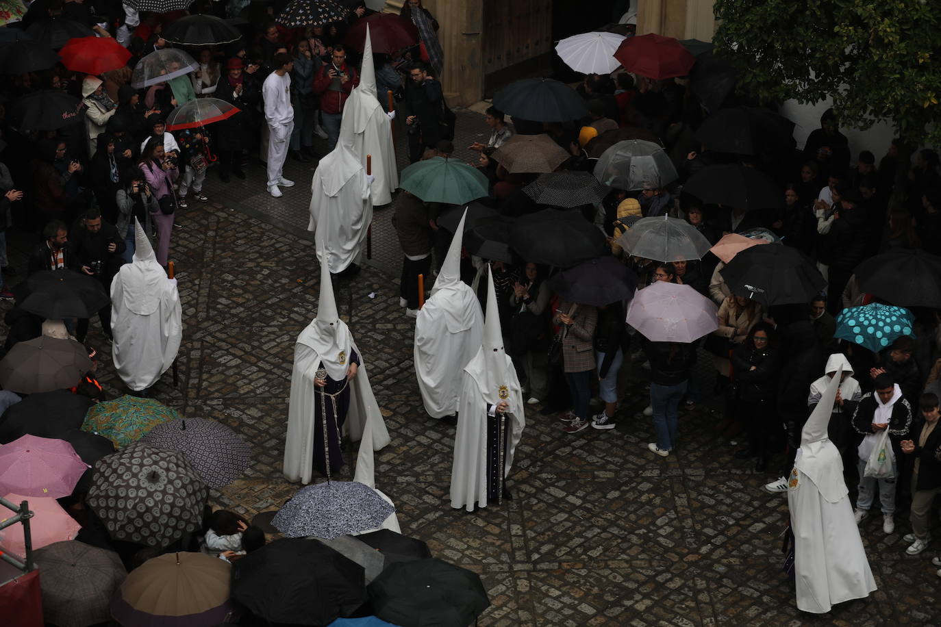 El Nazareno del Amor en el Lunes Santo en la Semana Santa de Cádiz 2024