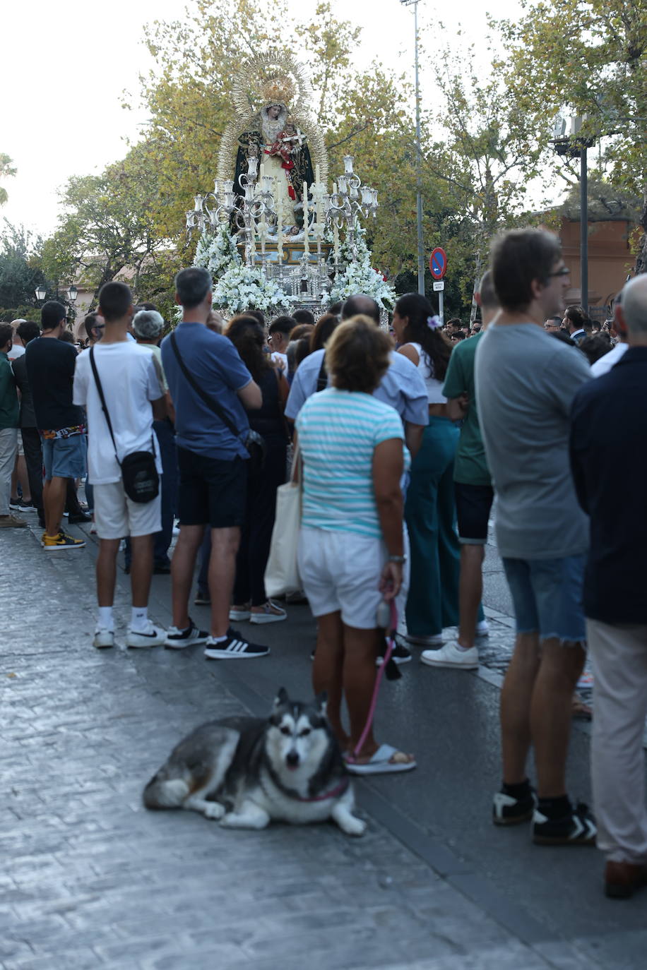 Fotos: Procesión de la Virgen de los Desamparados en Cádiz