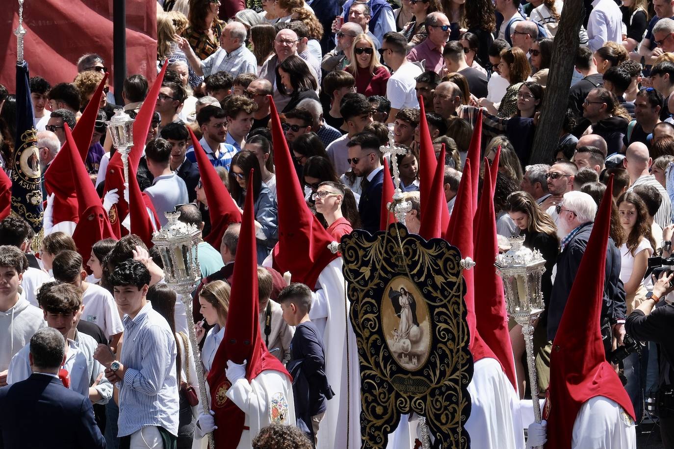 Las imágenes de la Borriquita en la Semana Santa de Cádiz 2025