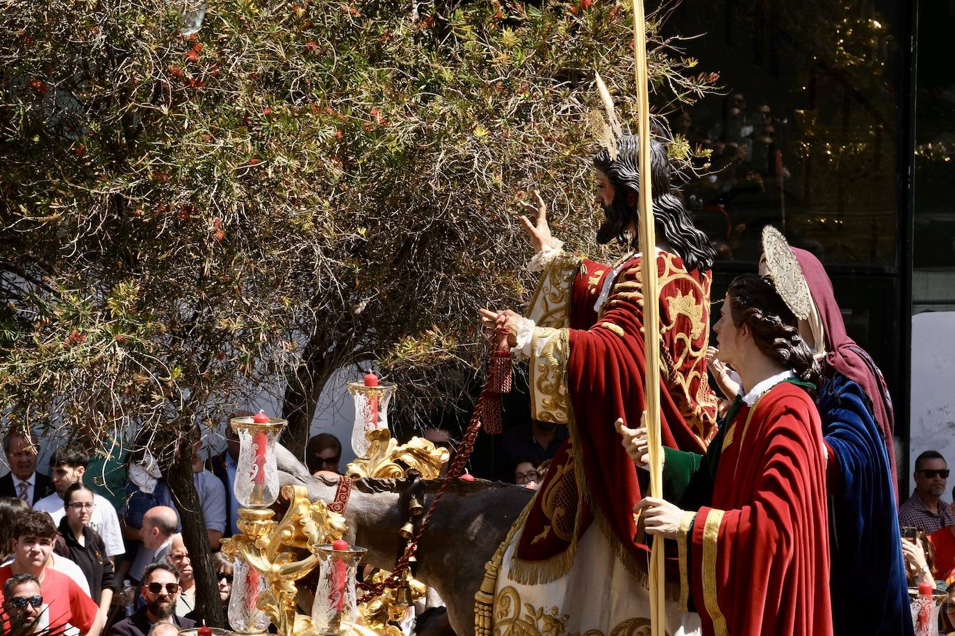 Las imágenes de la Borriquita en la Semana Santa de Cádiz 2025