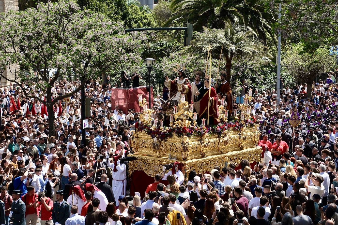 Las imágenes de la Borriquita en la Semana Santa de Cádiz 2025