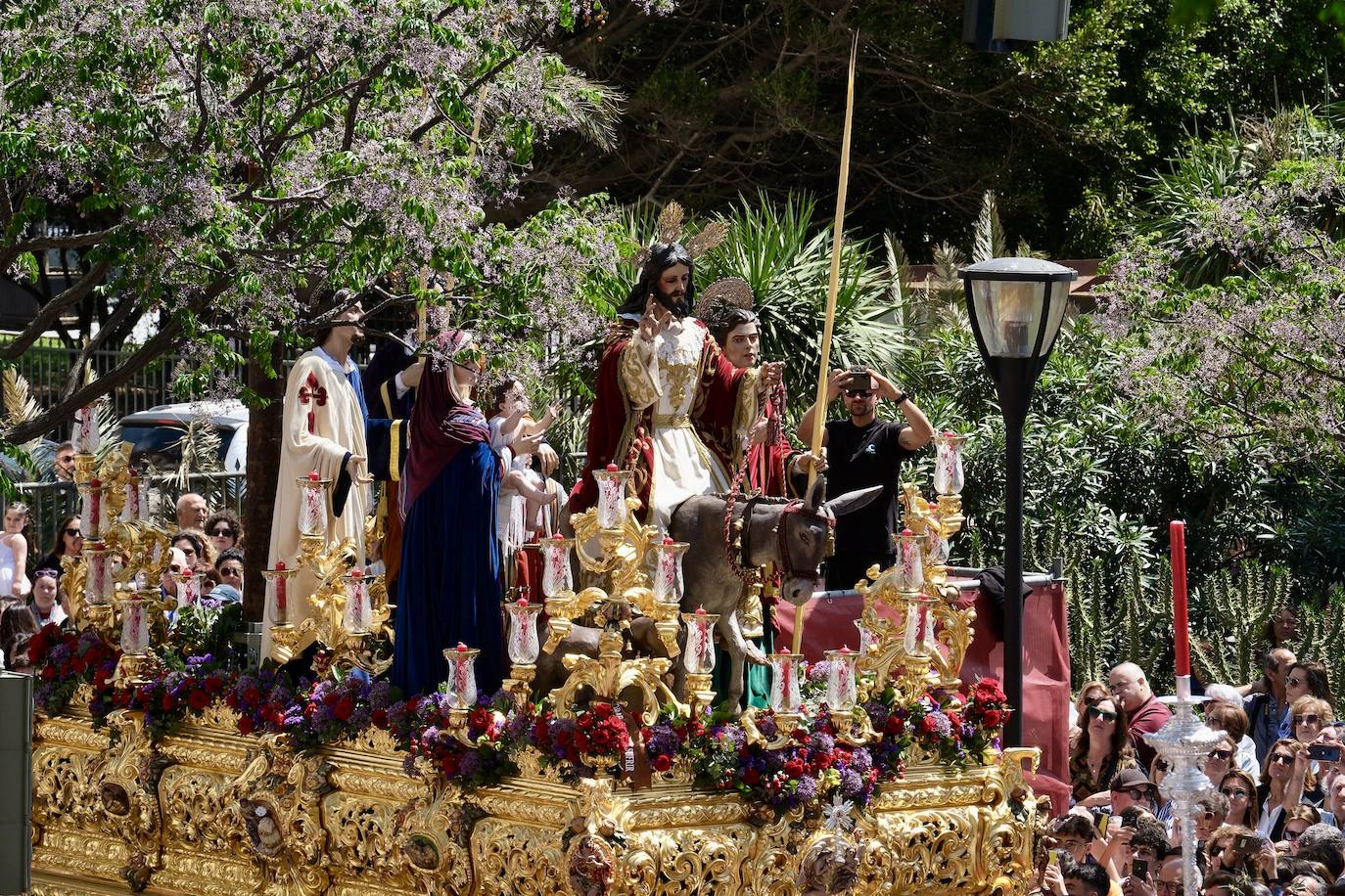 Las imágenes de la Borriquita en la Semana Santa de Cádiz 2025