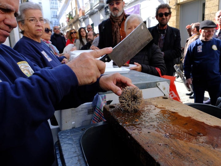 Fotos: Gran Erizada para abrir boca