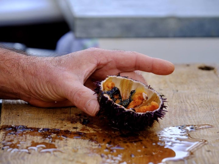 Fotos: Gran Erizada para abrir boca