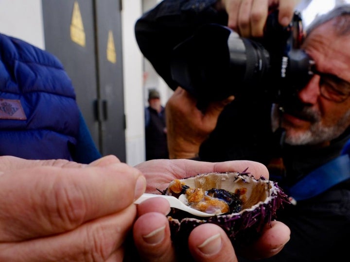 Fotos: Gran Erizada para abrir boca