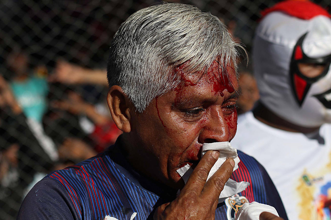 Fotos: el Carnaval en el mundo