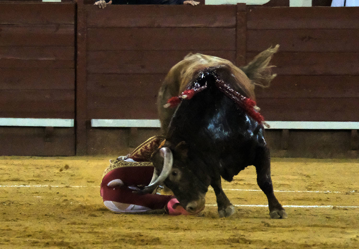 Fotos: la maravillosa faena de Morante en Jerez