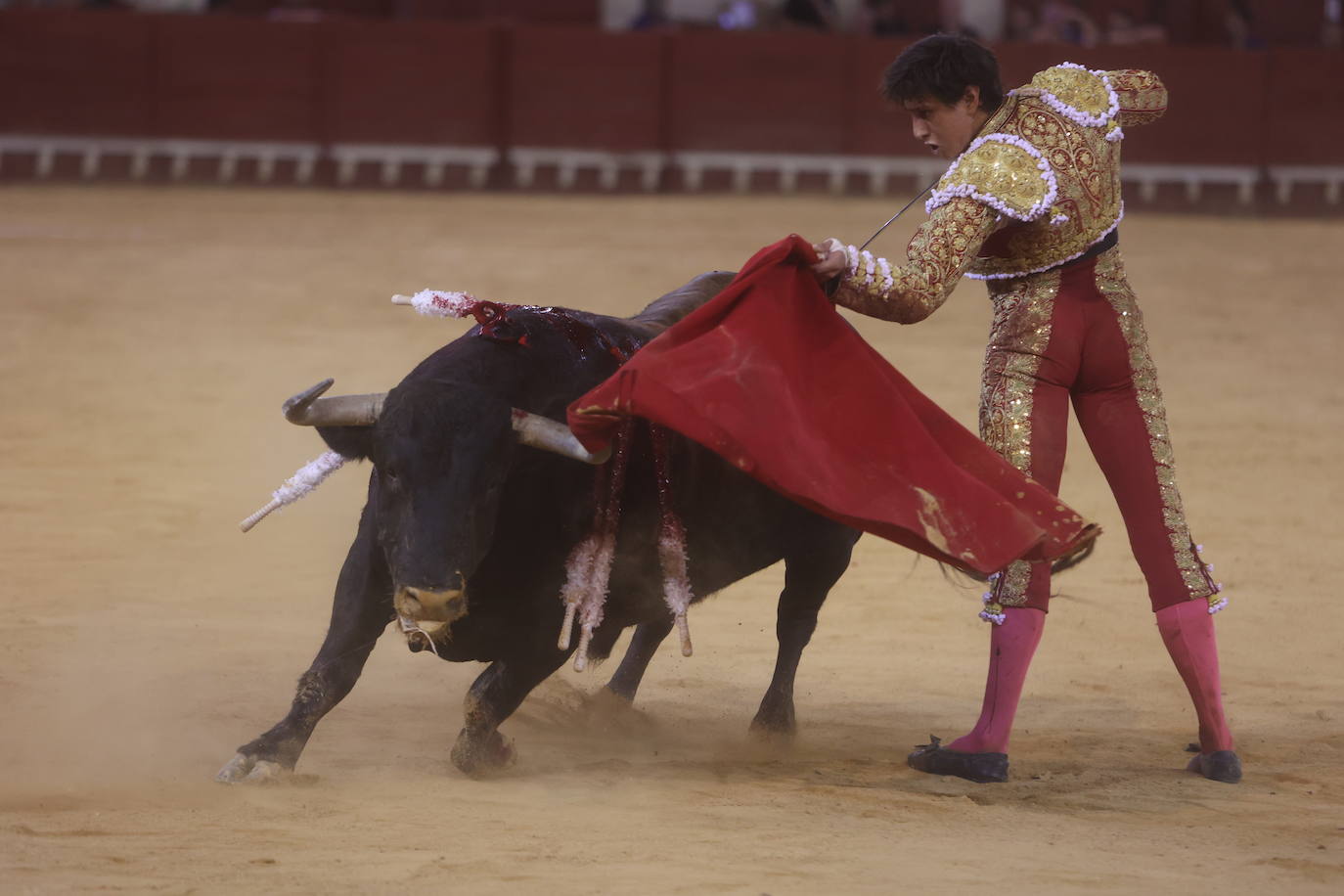 Fotos: Roca Rey sufre una cornada en la tarde de toros de El Puerto