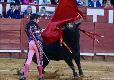 Castella y Manzanares abren la puerta grande en el epílogo de la Feria de Jerez