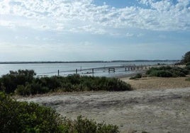 Un nuevo estudio señala que la ciudad de Tartessos pudo estar  en la actual Doñana