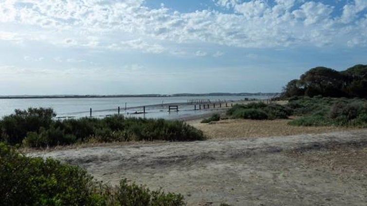 Un nuevo estudio señala que la ciudad de Tartessos pudo estar  en la actual Doñana