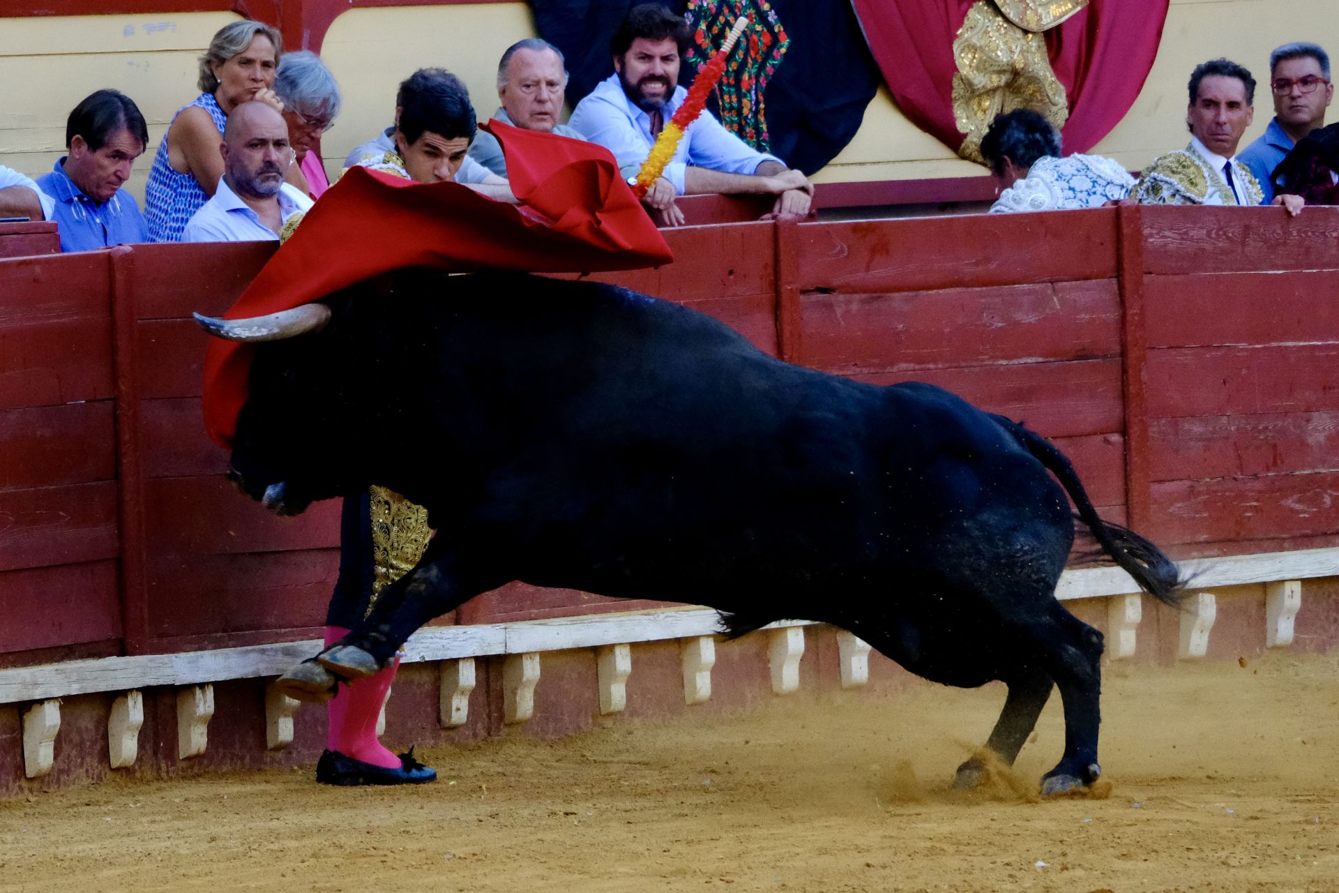 Toros en El Puerto: Diego Ventura, Talavante y Pablo Aguado