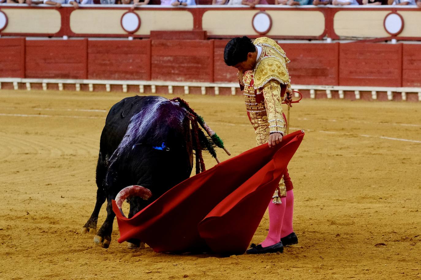 Rotundo triunfo de Manzanares que sale a hombros junto a Aguado en la última corrida del verano en El Puerto