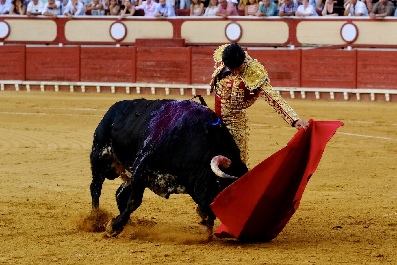 Rotundo triunfo de Manzanares que sale a hombros junto a Aguado en la última corrida del verano en El Puerto