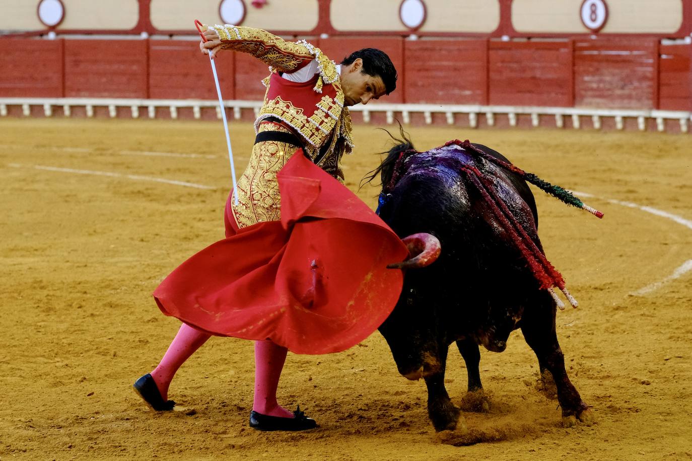 Rotundo triunfo de Manzanares que sale a hombros junto a Aguado en la última corrida del verano en El Puerto