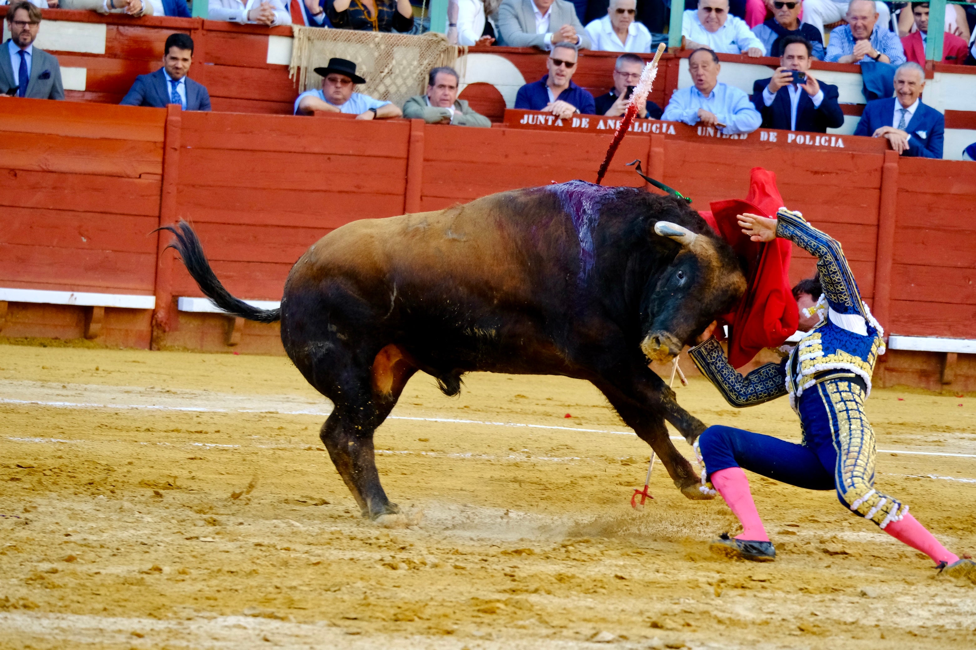 Las imágenes de la tarde de toros en Jerez
