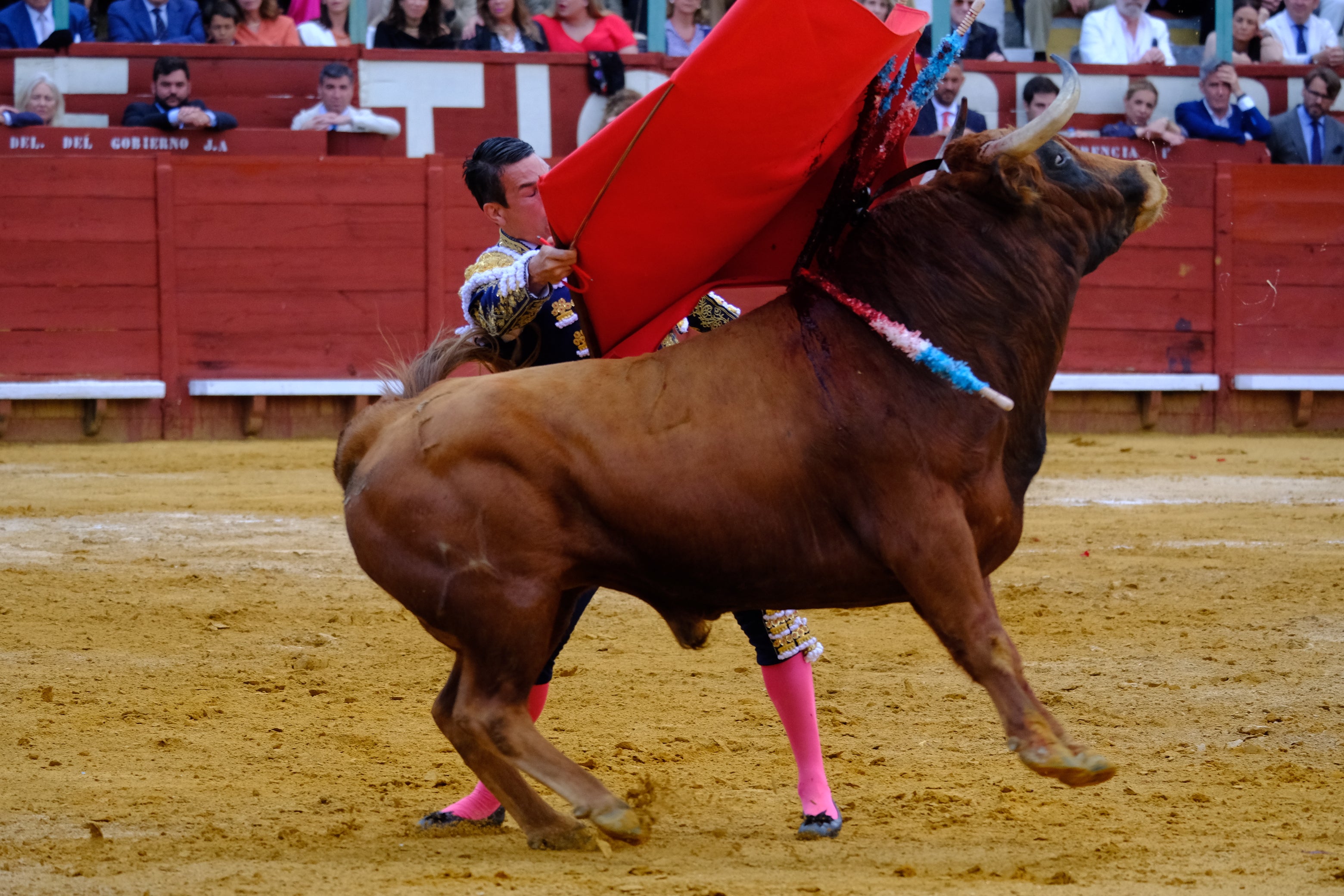 Las imágenes de la tarde de toros en Jerez