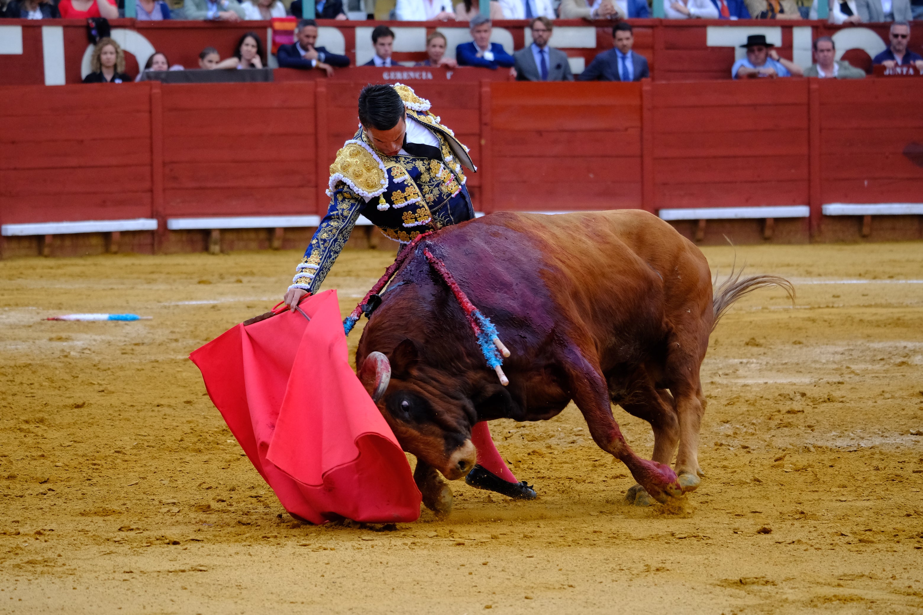 Las imágenes de la tarde de toros en Jerez