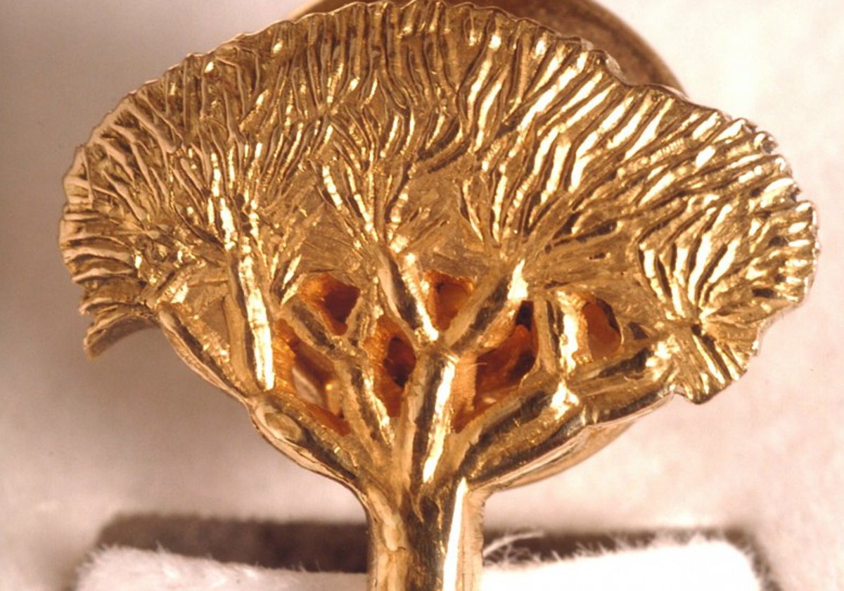 El Ateneo de Cádiz elige al premio Drago de Oro 2025