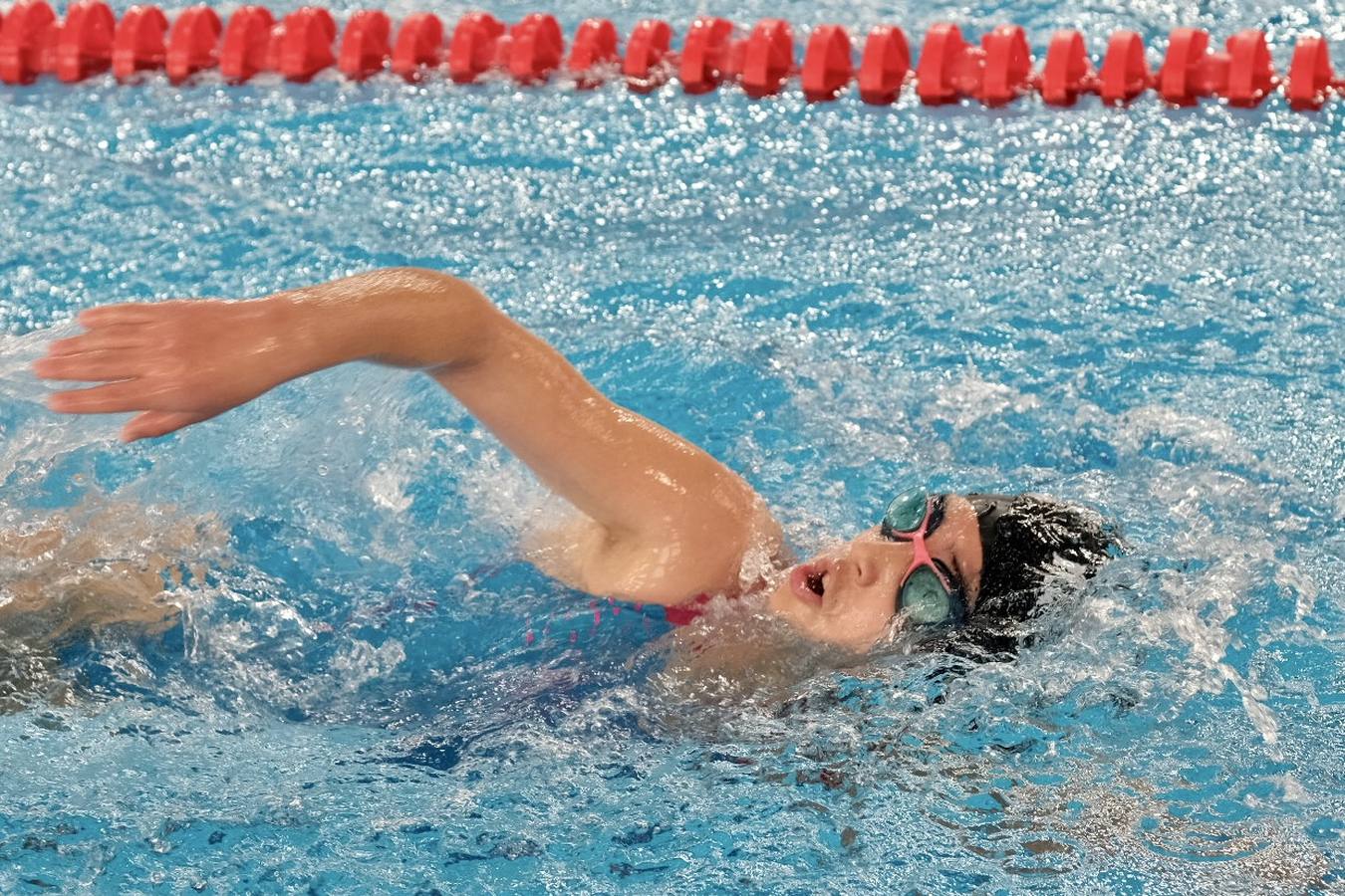 Fotos: Otro chapuzón en el Ciudad de Cádiz