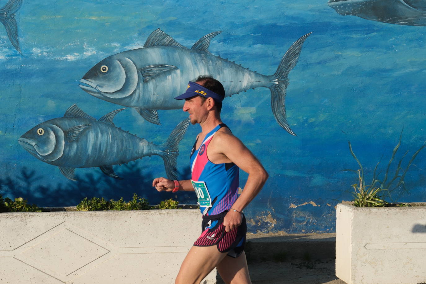 Fotos: Primera edición de la Media Maratón Ciudad de Chiclana
