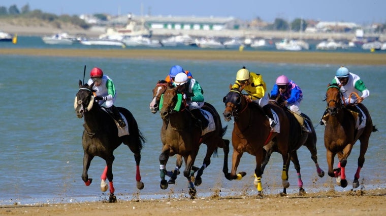 Sanlúcar de Barrameda ya se prepara para coger el segundo ciclo a finales del mes de agosto.