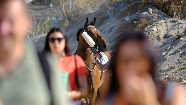 Los caballos dieron la talla en Sanlúcar de Barrameda una temporada más.