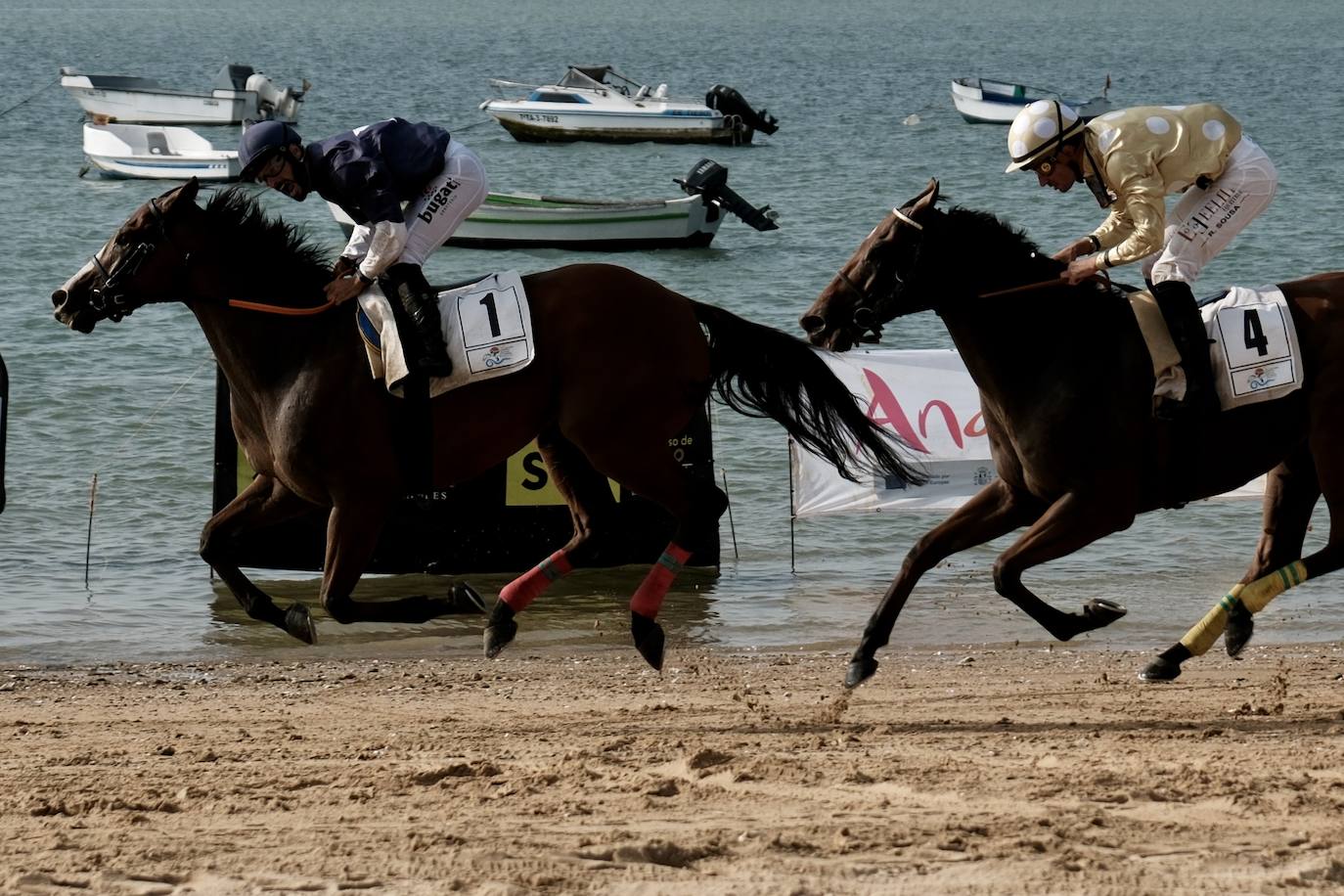 La primera carrera del segundo ciclo de las Carreras de Caballos de Sanlúcar en imágenes