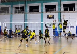 Contundente victoria del Club Voleibol Amigos Cádiz en el derbi