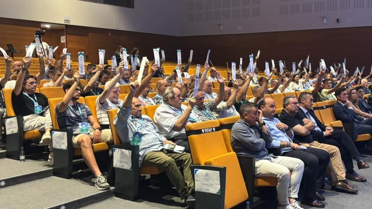 La Federación Andaluza anuncia cambios importantes para la 25/26