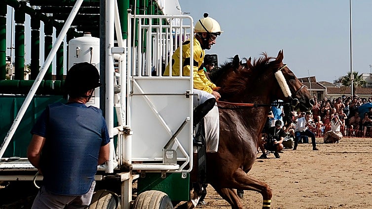 Donde galopa la luz: Sanlúcar da la salida a sus míticas Carreras de Caballos
