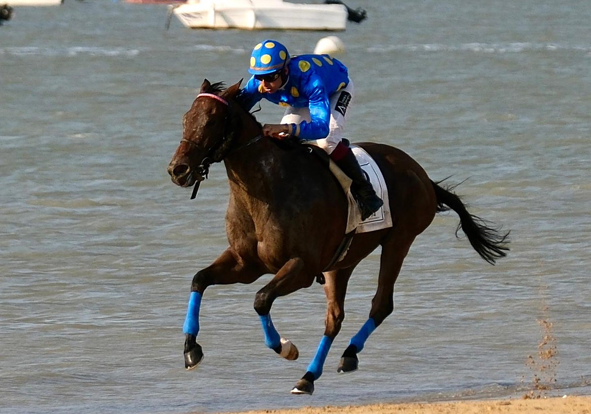 Las carreras de caballos de Sanlúcar de Barrameda ya van llegando a su fin.