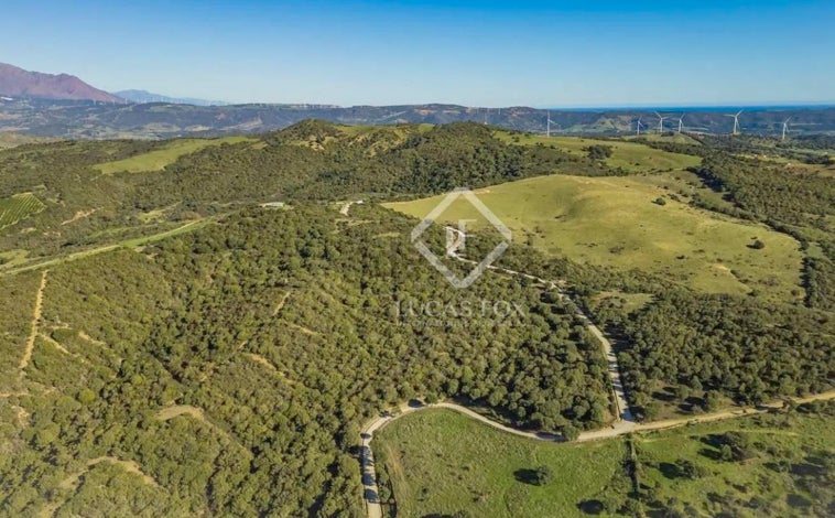 Imagen principal - Tiene plaza de toros, un coto de caza y 1.000 metros cuadrados: así es la finca que ha salido en venta en este pueblo de Cádiz