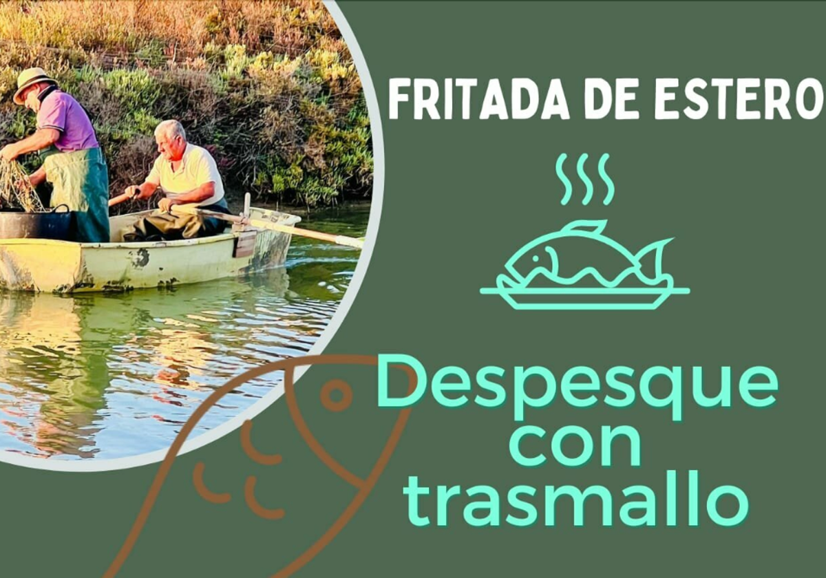 Despesque con trasmallo y fritada de estero en Puerto Real