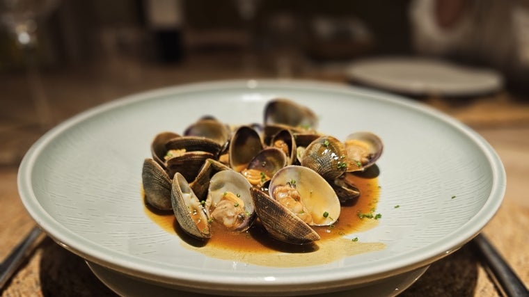 Almejas a la marinera del restaurante Beduino de la capital gaditana