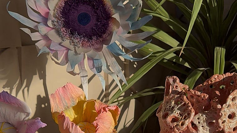 Detalles de la instalación de Casa Lamar en Calachica