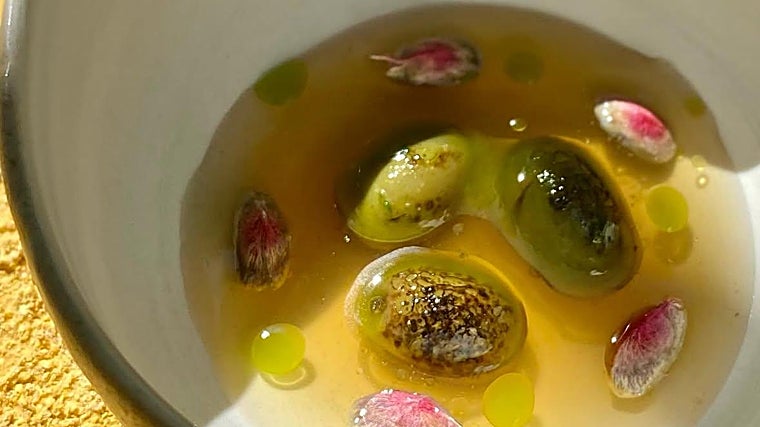 Aceitunas quemás y pistachos tiernos en un caldo de naranjo y flores blancas