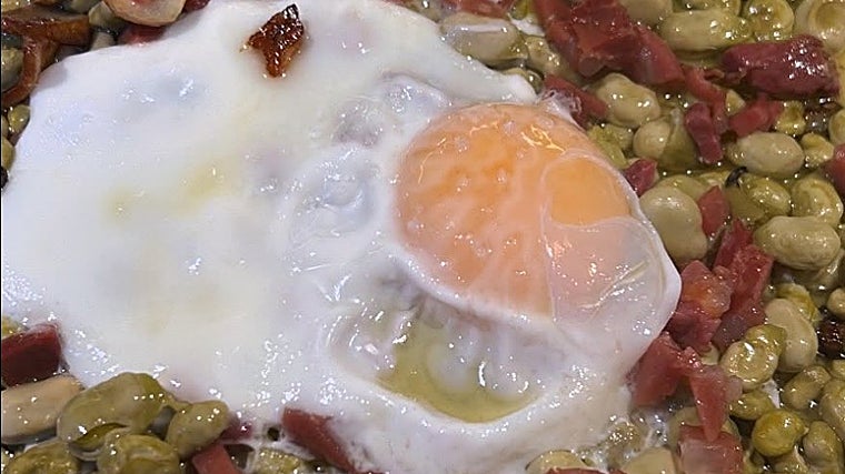 Propuesta de El Puerto de los Arbolitos en Olvera