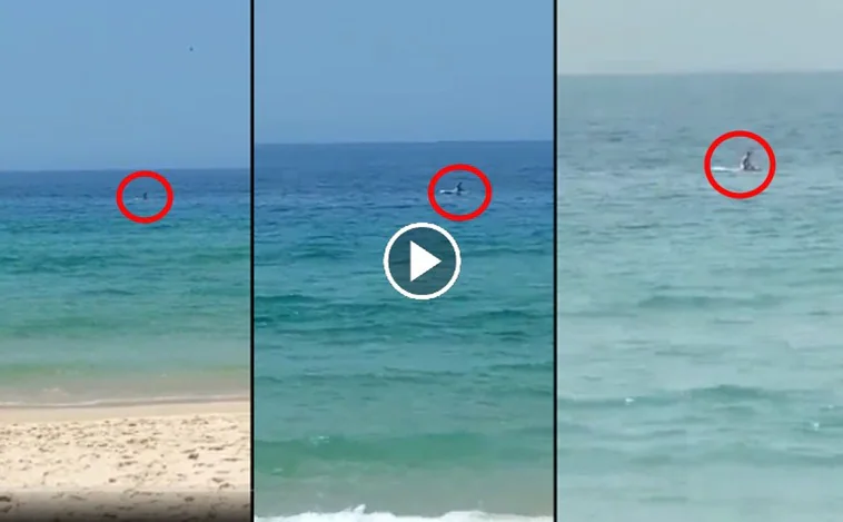 Vídeo: Pillados a plena luz del día sobre una tabla de surf en una playa de Alicante