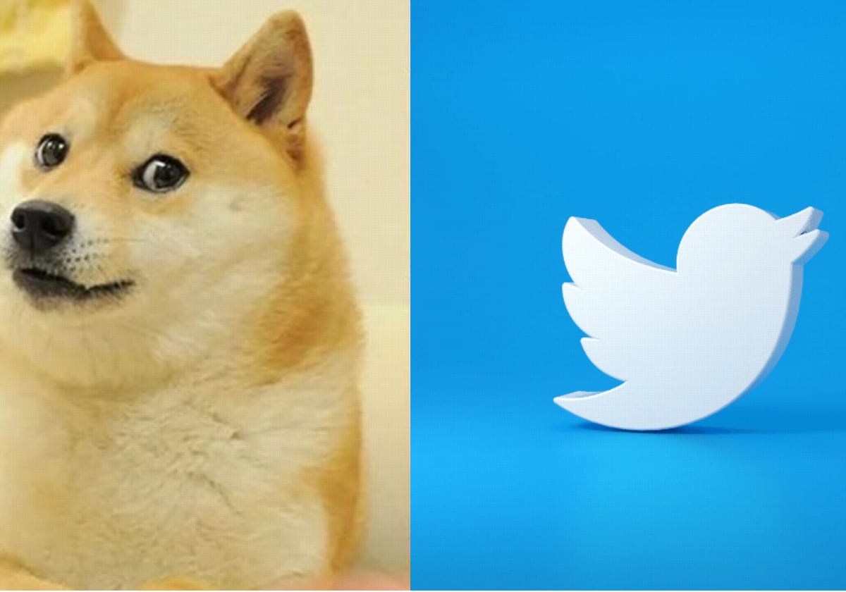 ¿Por qué ha cambiado el logo de Twitter y ahora aparece un perro?