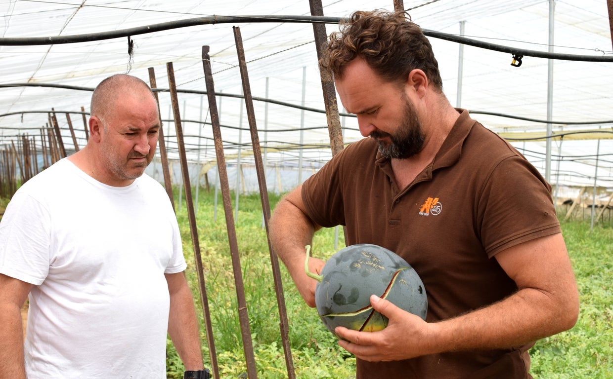 Agricultores de la Costa Noroeste de Cádiz en una plantación de sandías